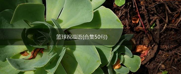 如何利用高科技设备解决篮球训练中的常见问题_0